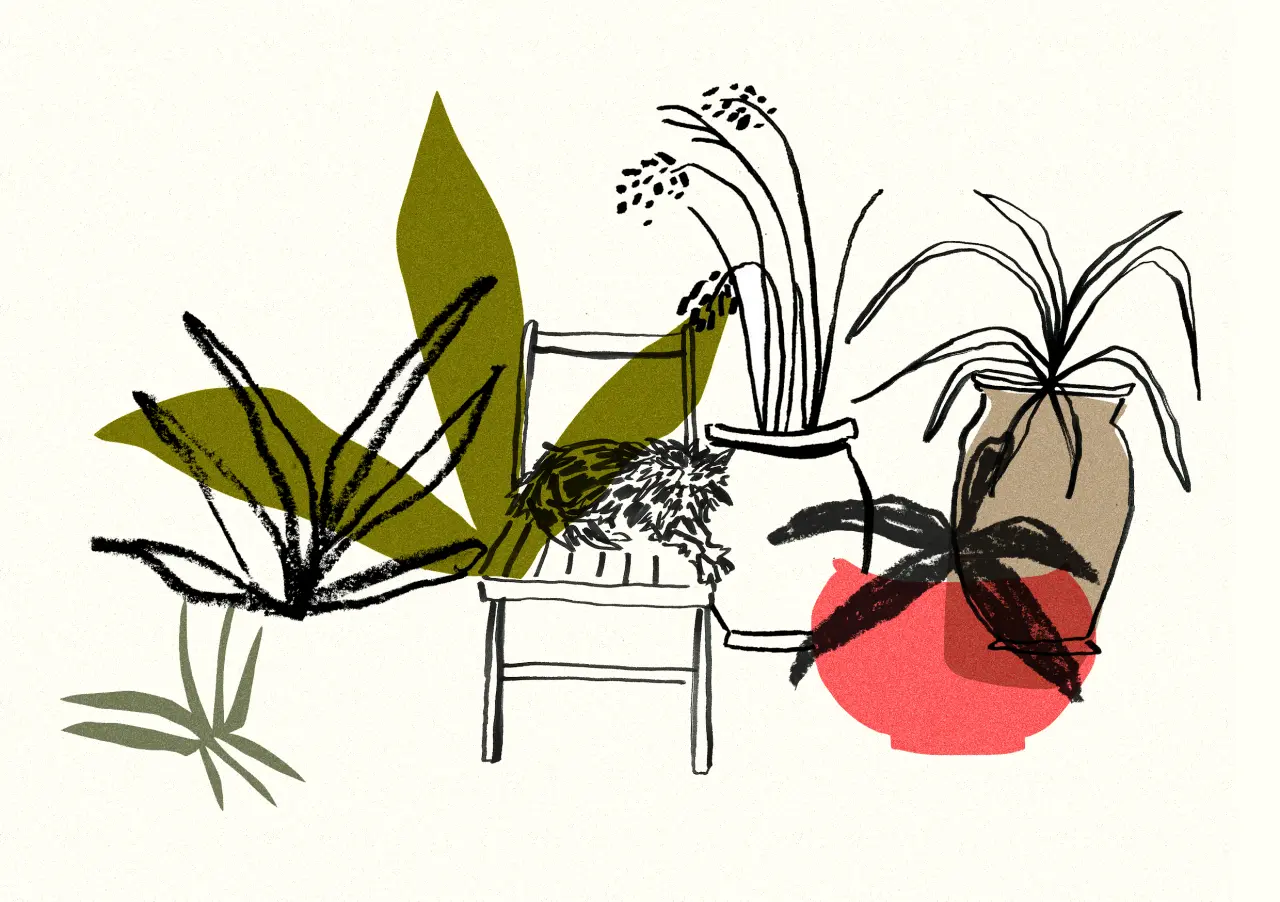 Illustration of a wooden chair surrounded by potted houseplants with green and olive foliage and a red-coloured pot