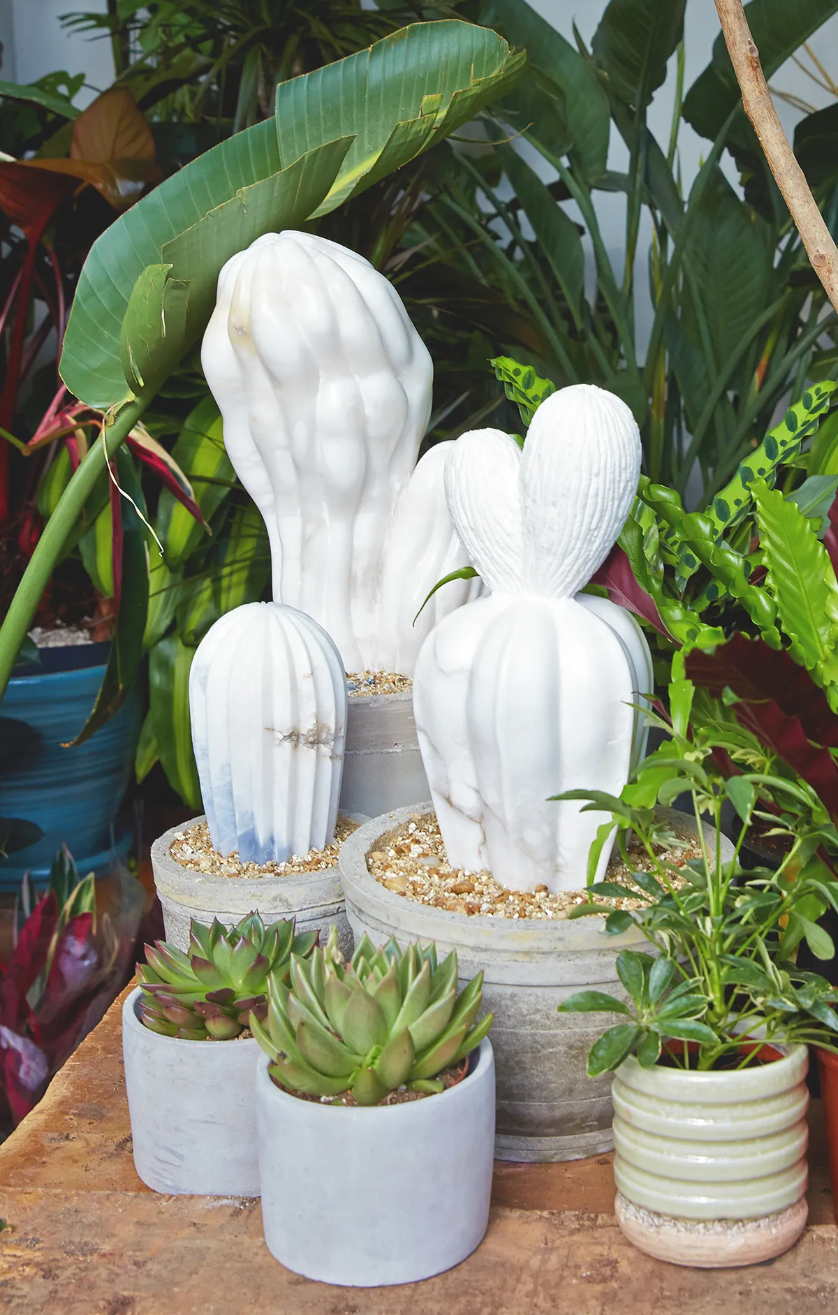 Ben Russell, Cactus House, Alabaster, 2017. Photograph courtesy of Tanya Dolver