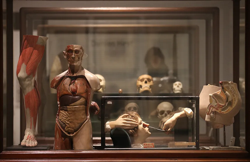Magnificent Obsessions: The Artist as Collector, Damien Hirst’s collection. Photograph by Peter McDiarmid