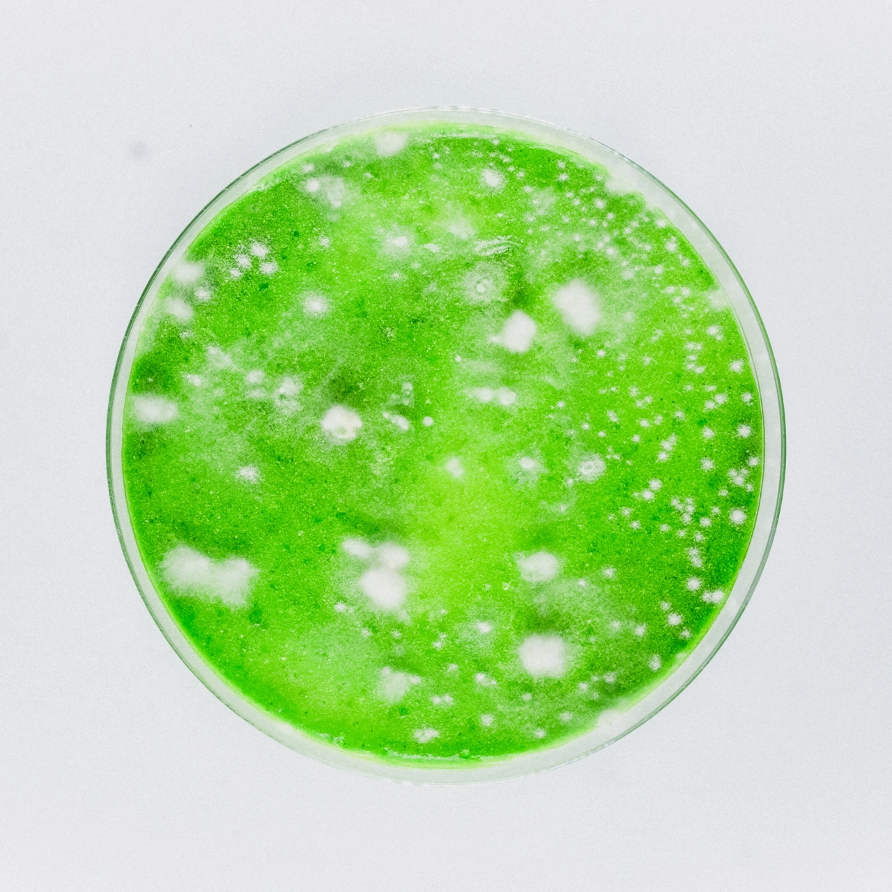 Bright green petri dish filled with white bacterial or fungal colonies on agar, used for Robocobra Quartet's album cover art