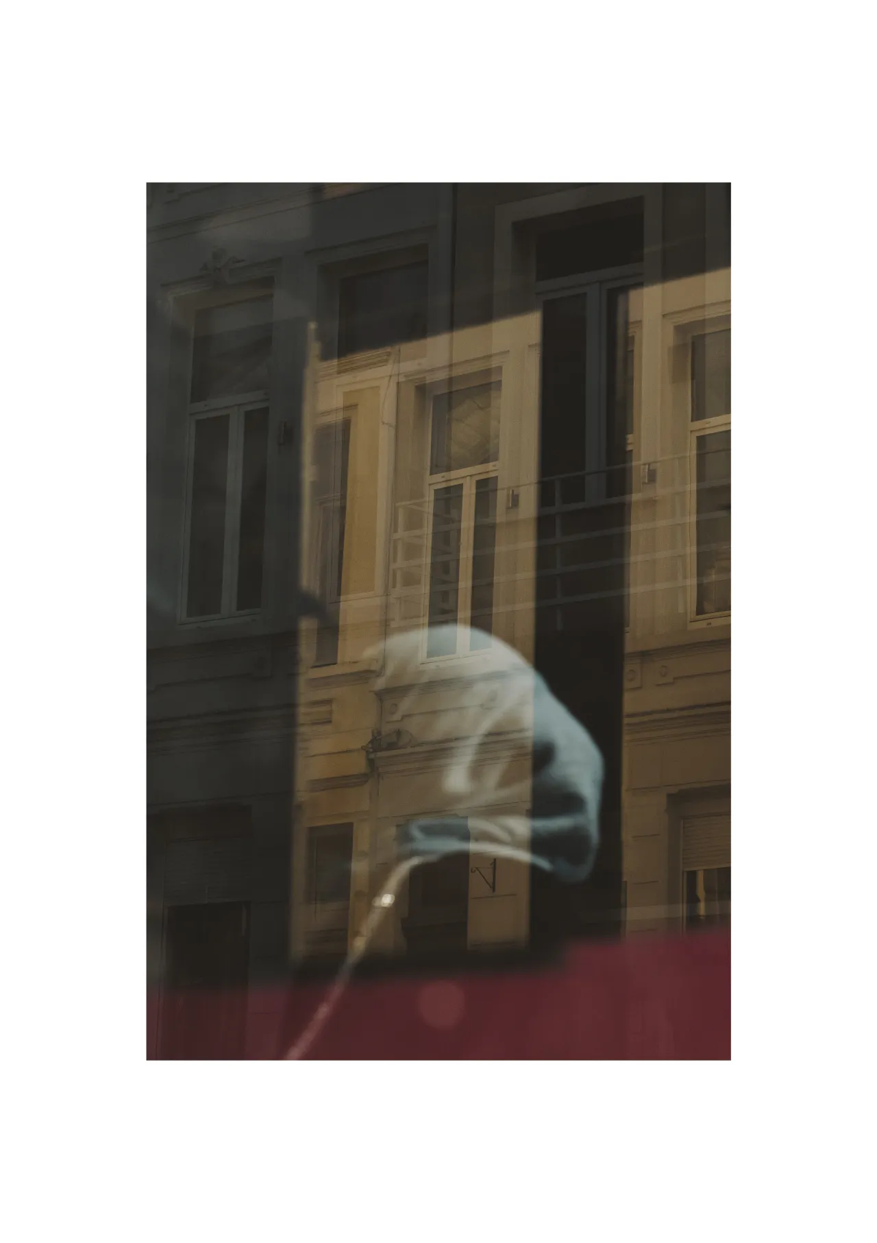 The opening image of Belgian art photographer [Jesse Willems](http://jessewillems.com/)