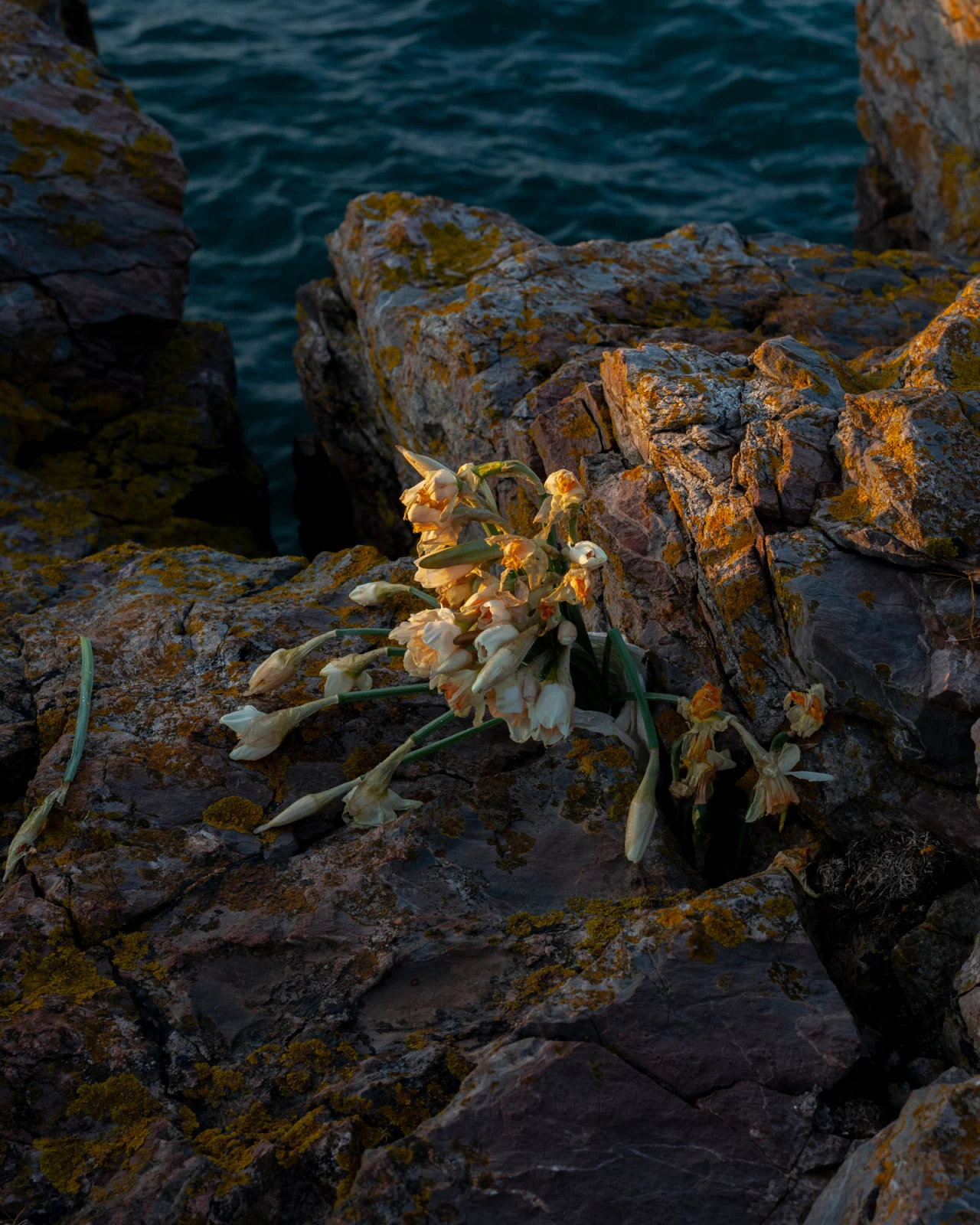 From the series, Winds of Change © Samuel Fradley