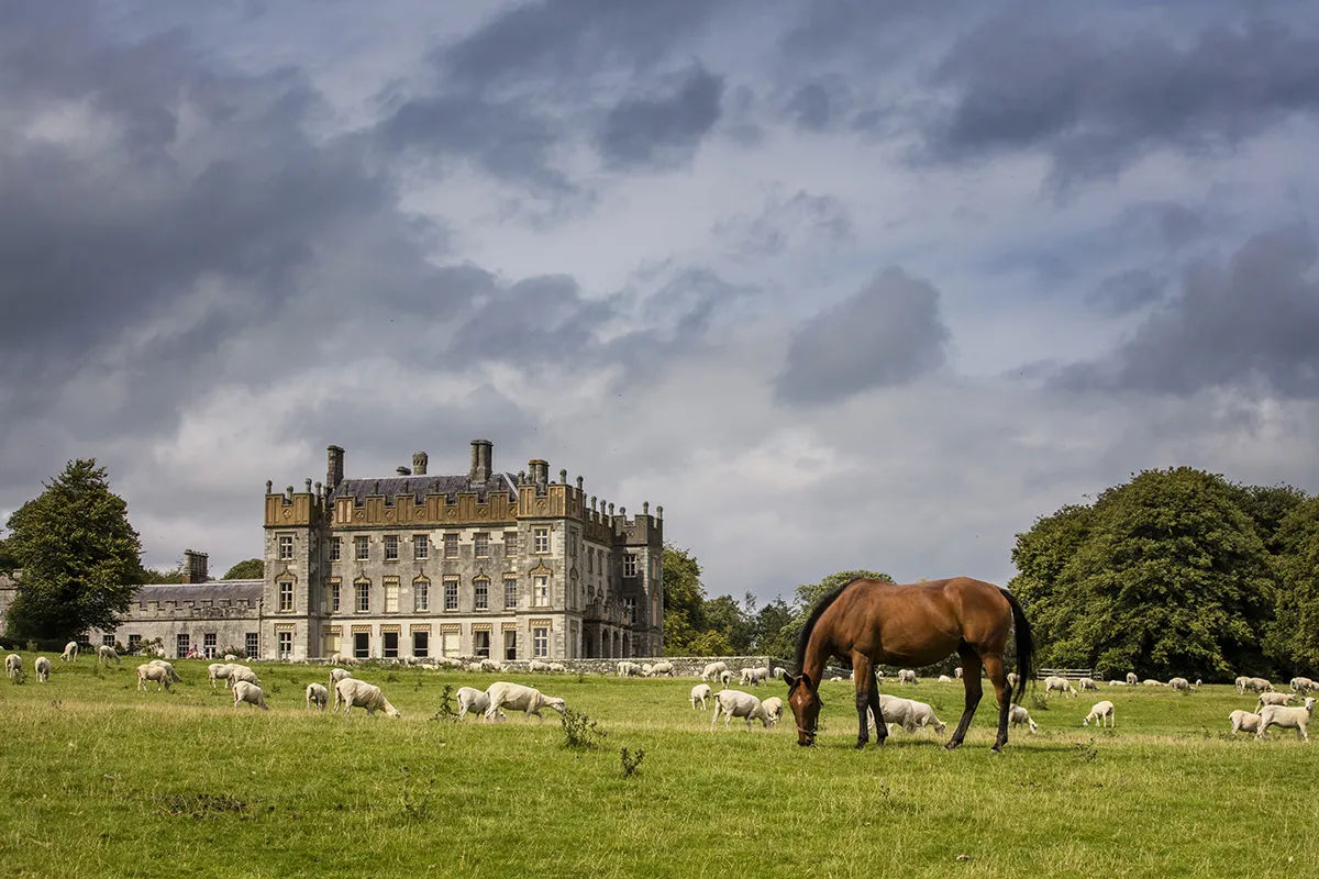 Borris House, Borris. Image courtesy of [Tourism Ireland](http://www.ireland.com/en-gb/)