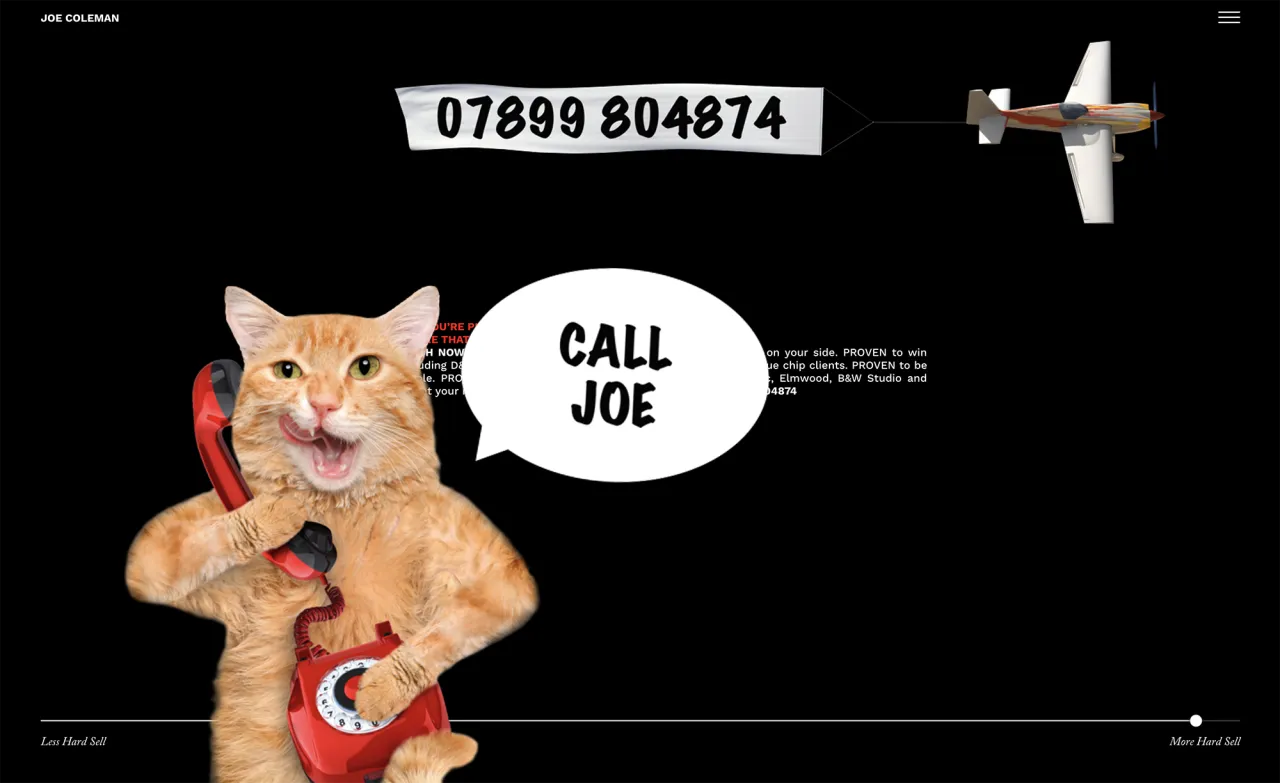 Joe Coleman website