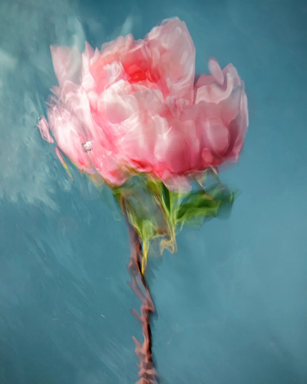 Image courtesy of Barbara Cole