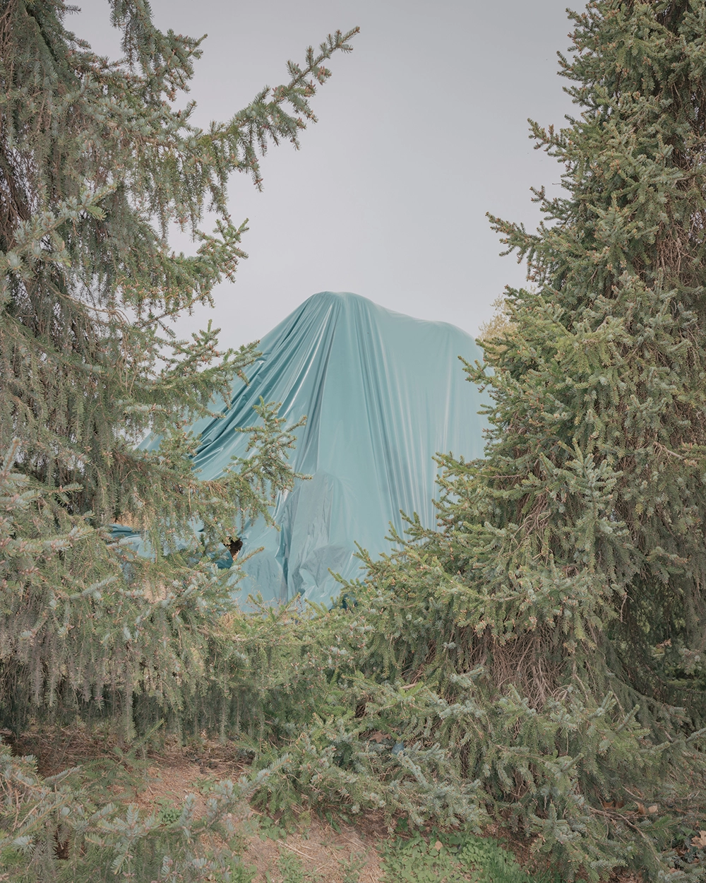 © Andy Feltham