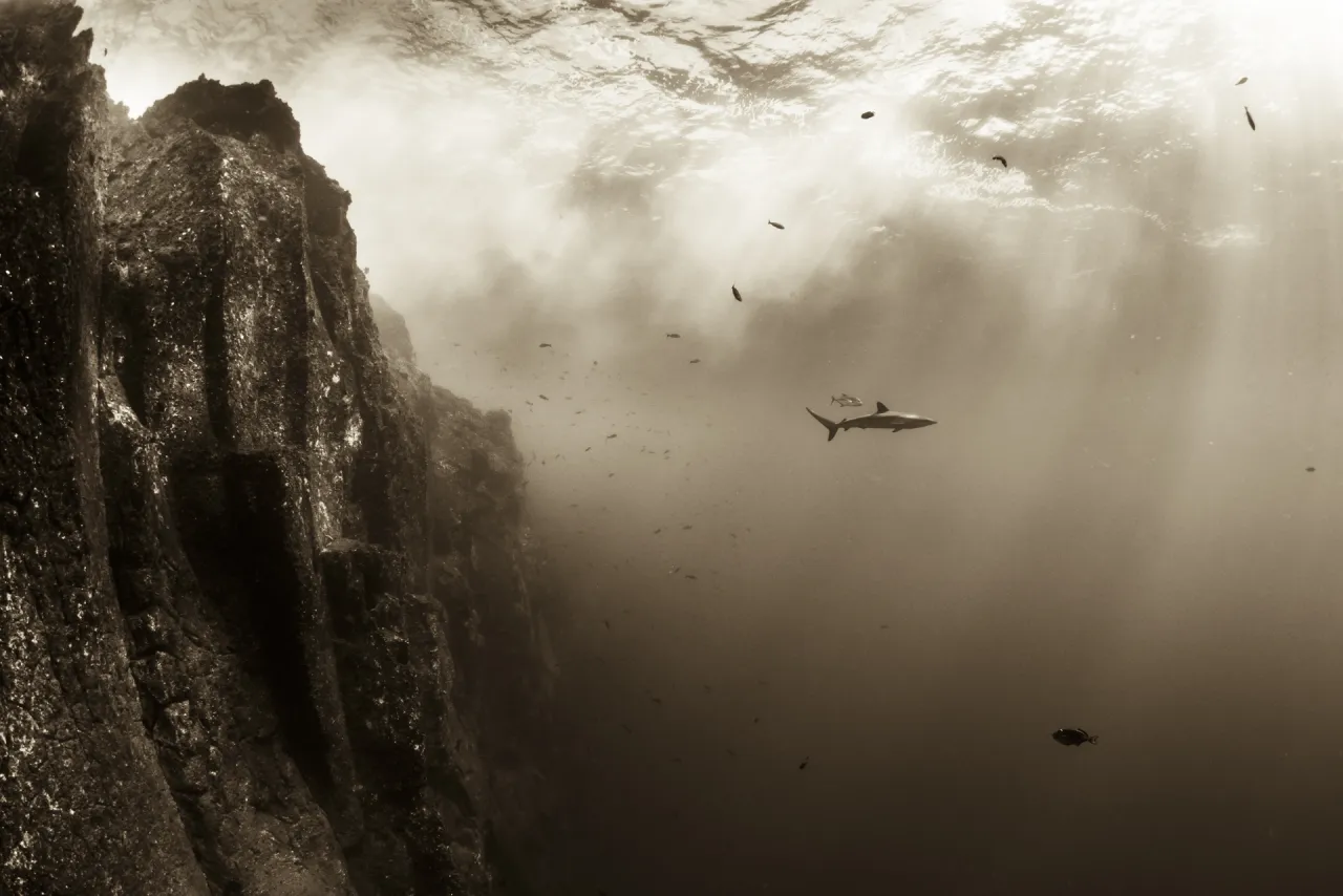 Copyright: © Christian Vizl, Mexico, 3rd Place, Professional, Natural World, 2017 Sony World Photography Awards