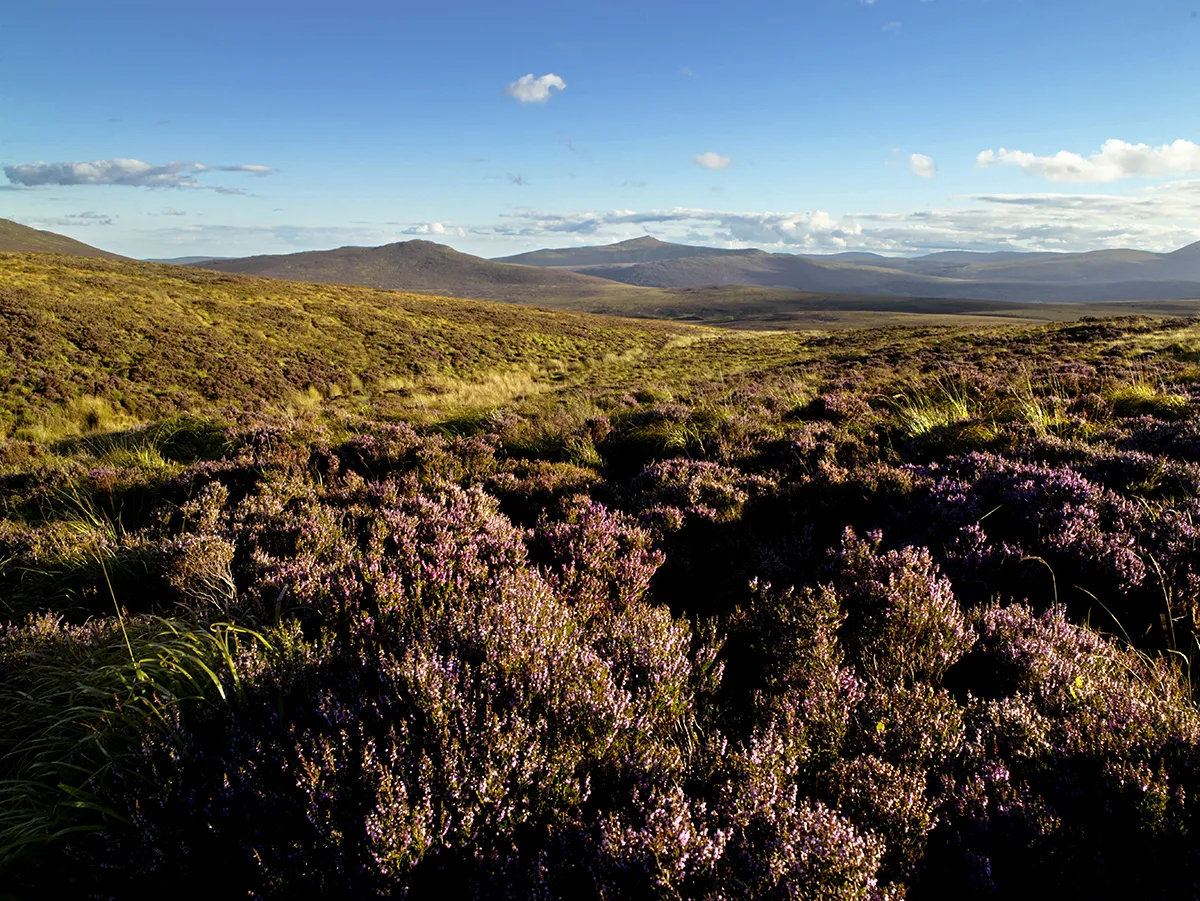 Sally Gap, Co. Wicklow. Image courtesy of [Tourism Ireland](http://www.ireland.com/en-gb/)