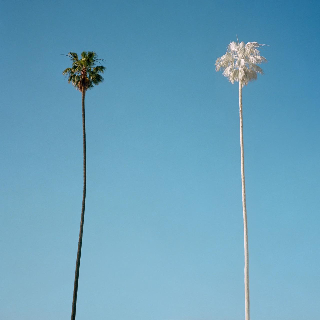 From the book and series, Post Truth © George Byrne