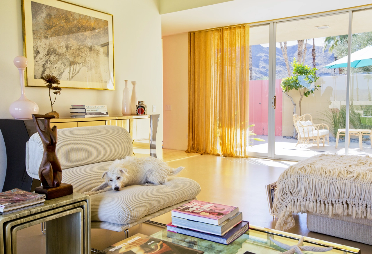 Rocky, Jack Russell Terrier, Architect: Richard Harrison 1966 © Nancy Baron