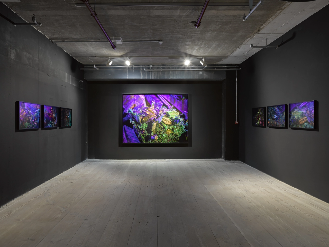 Richard Mosse Broken Spectre. Photo by Jack Hems