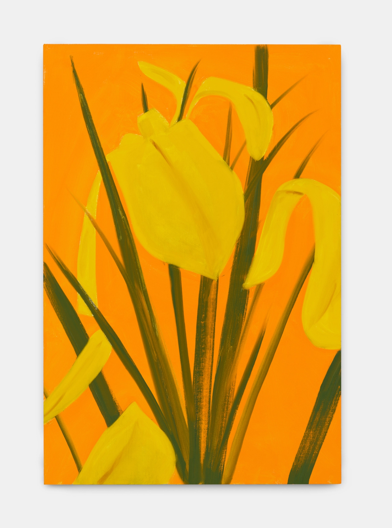 Alex Katz, Iris 4, 2019. © [2019] Alex Katz / VAGA at Artists Rights Society (ARS), NY
