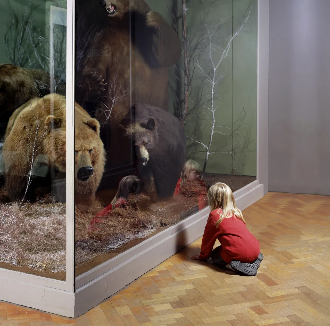 Wendy McMurdo, Girl with Bears, Royal Museum of Scotland, Edinburgh, 1999 C-Type print on aluminium, 120.00 x 120.00 cm © Wendy McMurdo. All Rights Reserved, DACS 2017