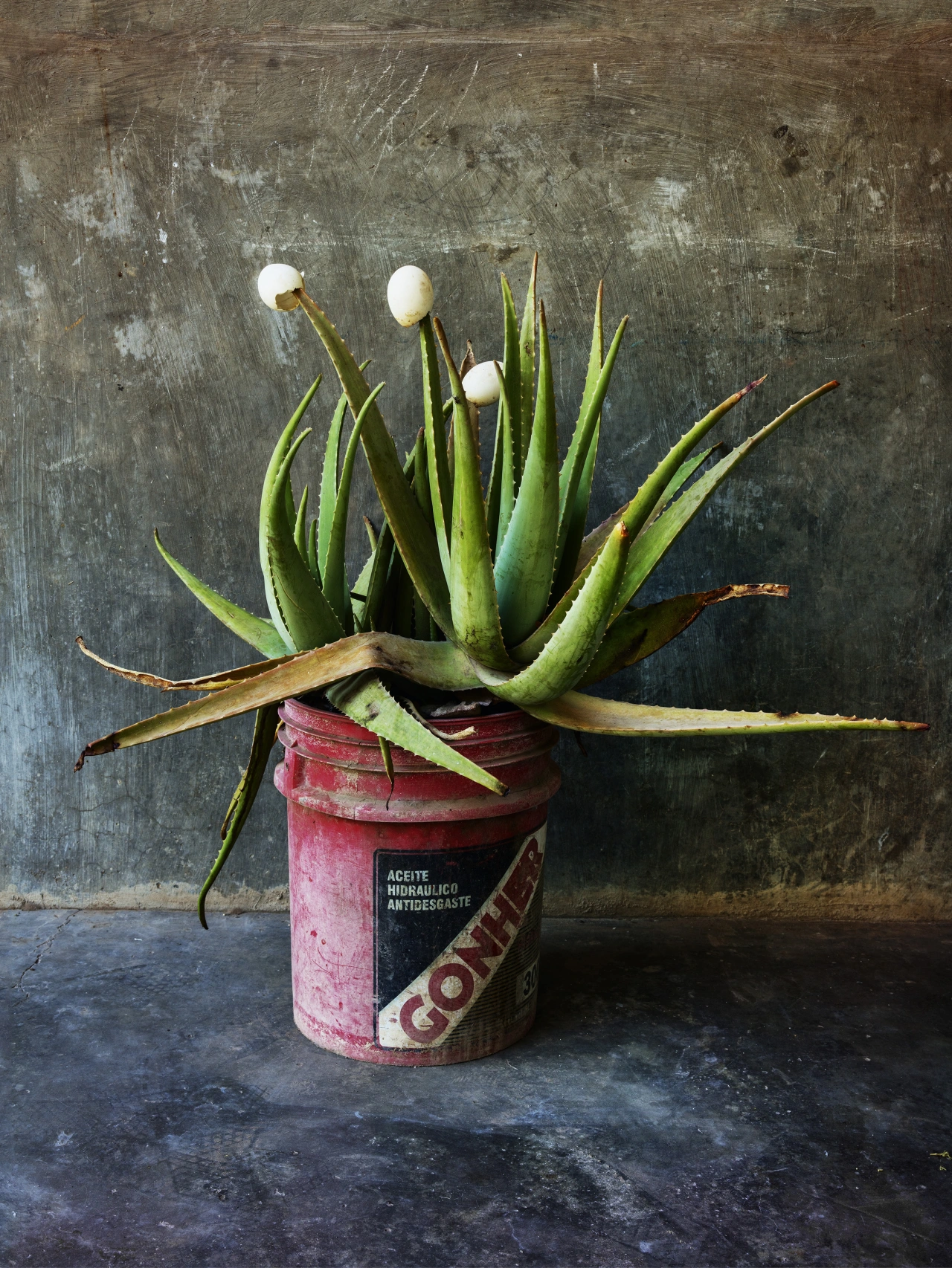 Brujería, Juchitán de Zaragoza, 2018 © Pieter Hugo courtesy Huxley Parlour Gallery