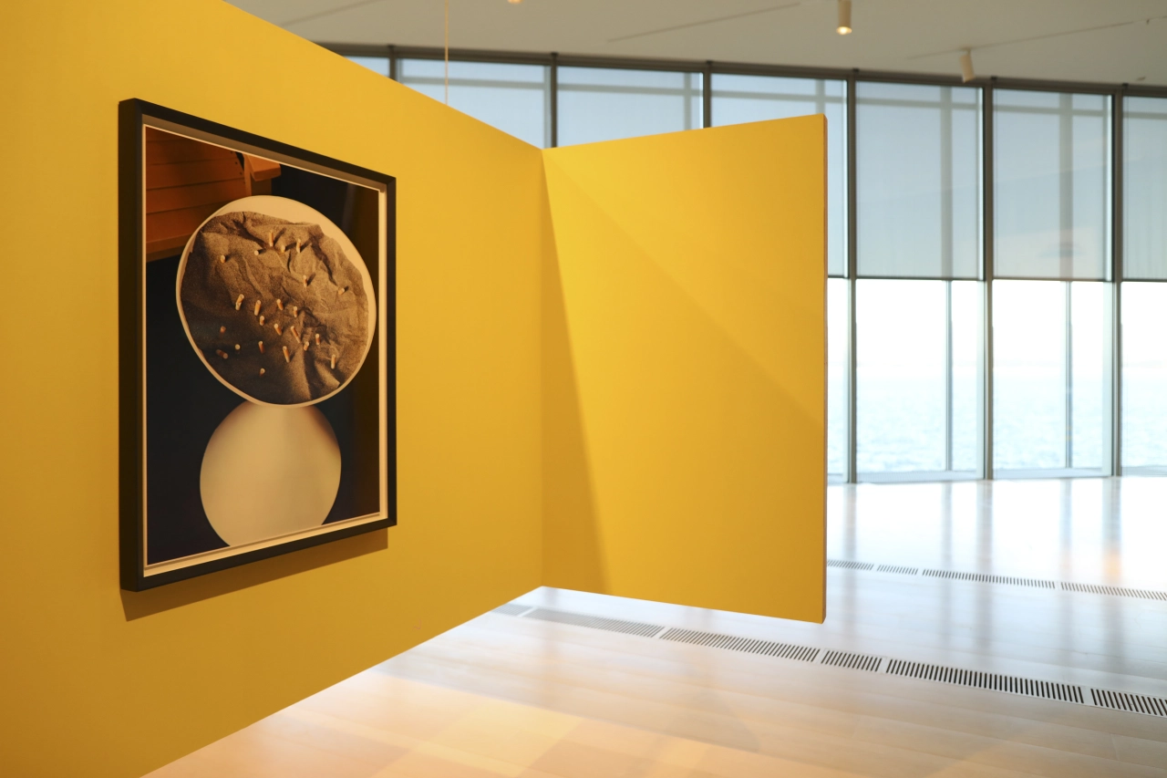 Thomas Demand: Mundo de Papel. Centro Botín, Installation view. Photo: Belen de Benito