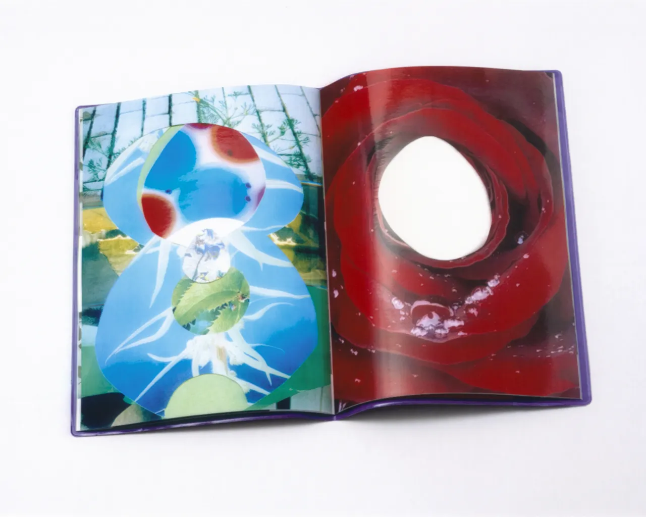 Terra Incognita, 2026. Design Studio Salina