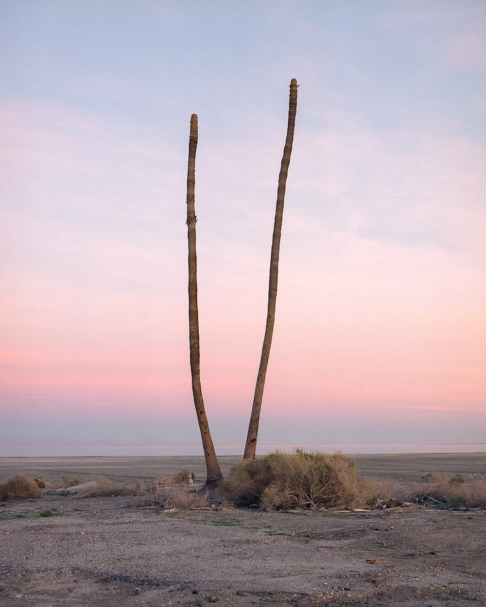 © Kyle McDougall