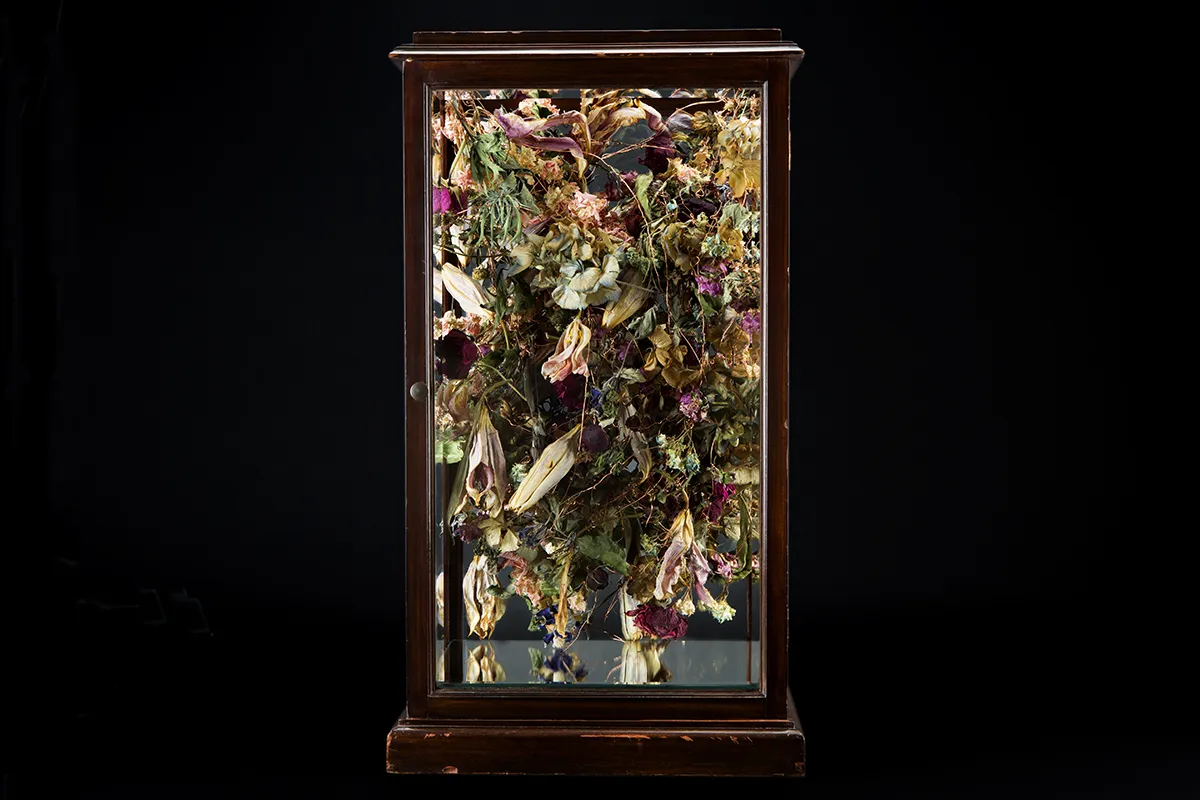 © Rebecca Louise Law