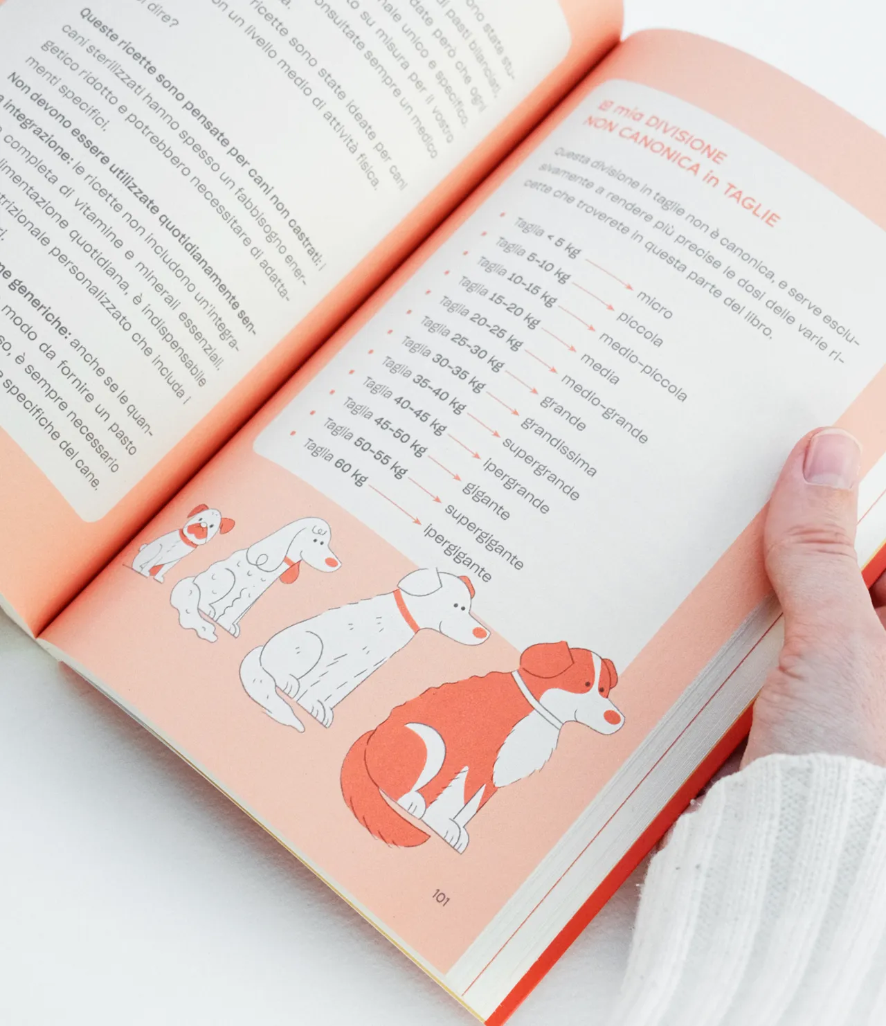 Quattro zampe a tavola – by Alice Chierichetti.  • Book cover and interior illustrations, published by DeAgostini, 2025