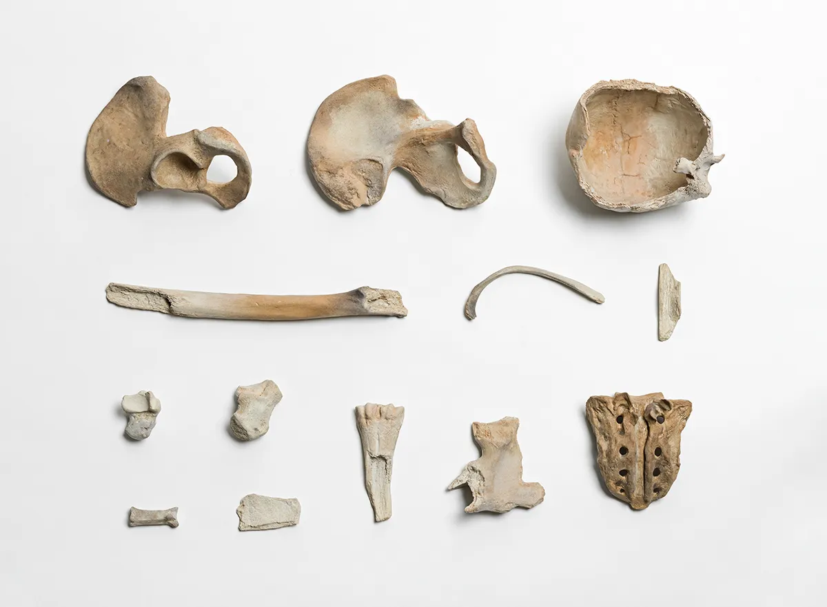 Ai Weiwei Remains, 2014 Porcelain, Ai Weiwei Studio