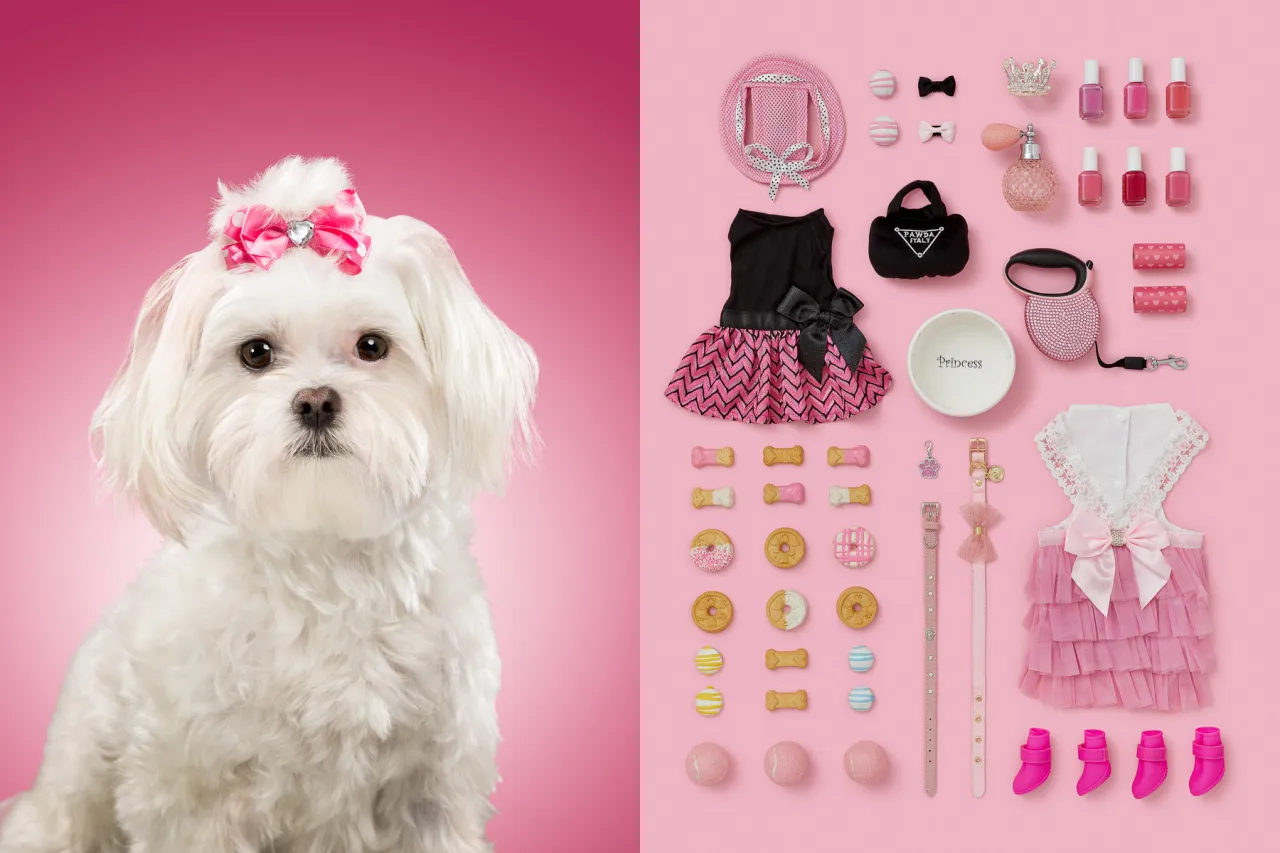 Lola Rose, is a white Maltese Shih Tzu mix. She is very spoiled dog that has her own Instagram profile and she’s very much treated as the princess of the house. All images courtesy of the artist. Via Creative Boom submission.