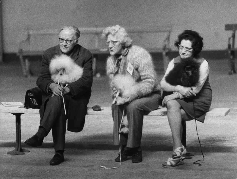 © Estate of Shirley Baker/Mary Evans Picture Library