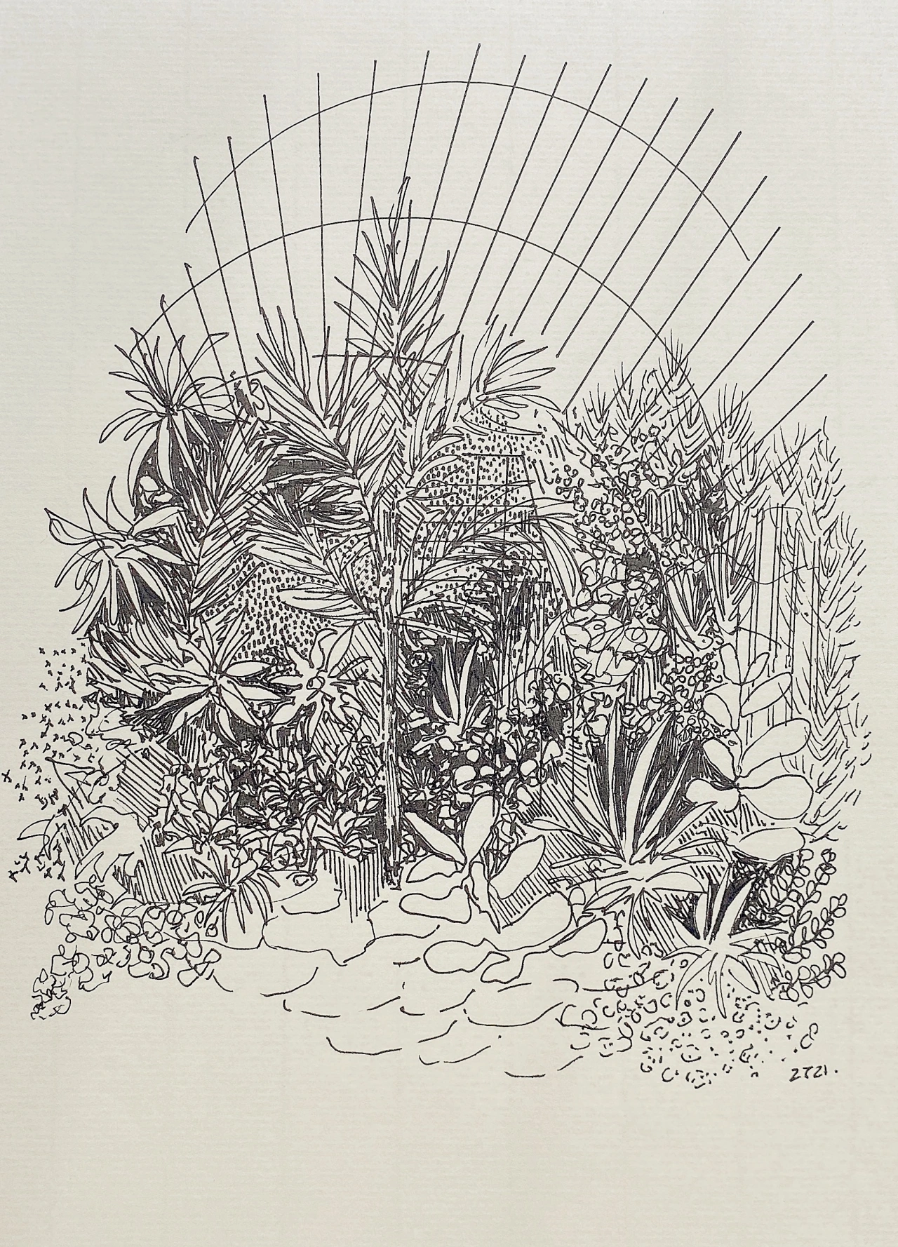 From the series, Wilt, Fall, Root, Grow © Zara Tisma
