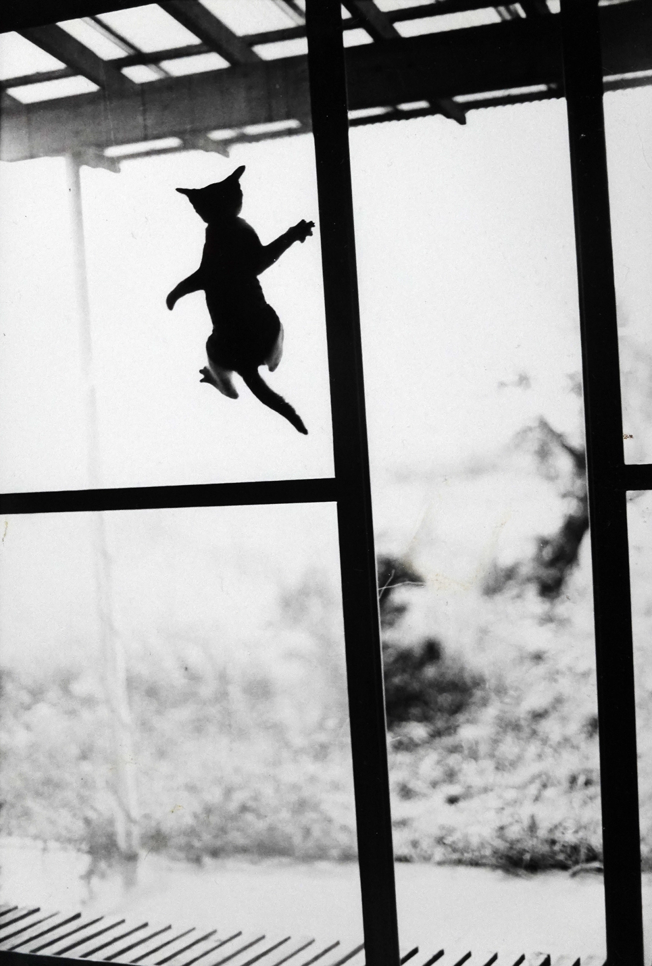 © Masahisa Fukase