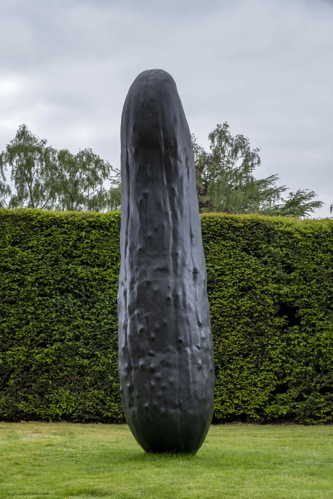 © Erwin Wurm