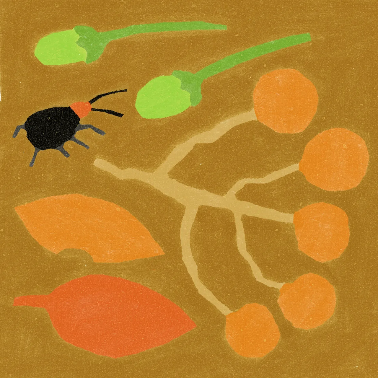 Autumn Things