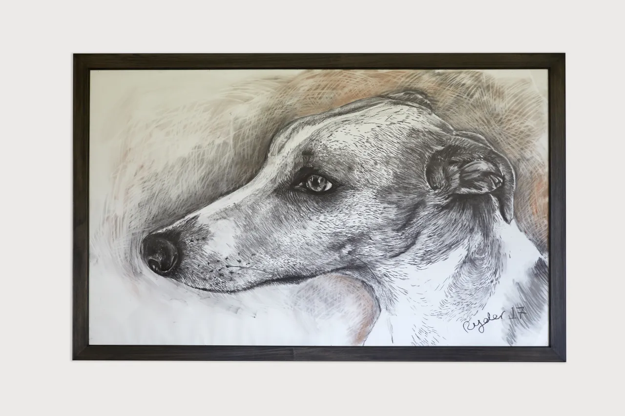 Luigi Head,165.5 X 255cm, photo by Tania Dolvers, courtesy of Hignell Gallery