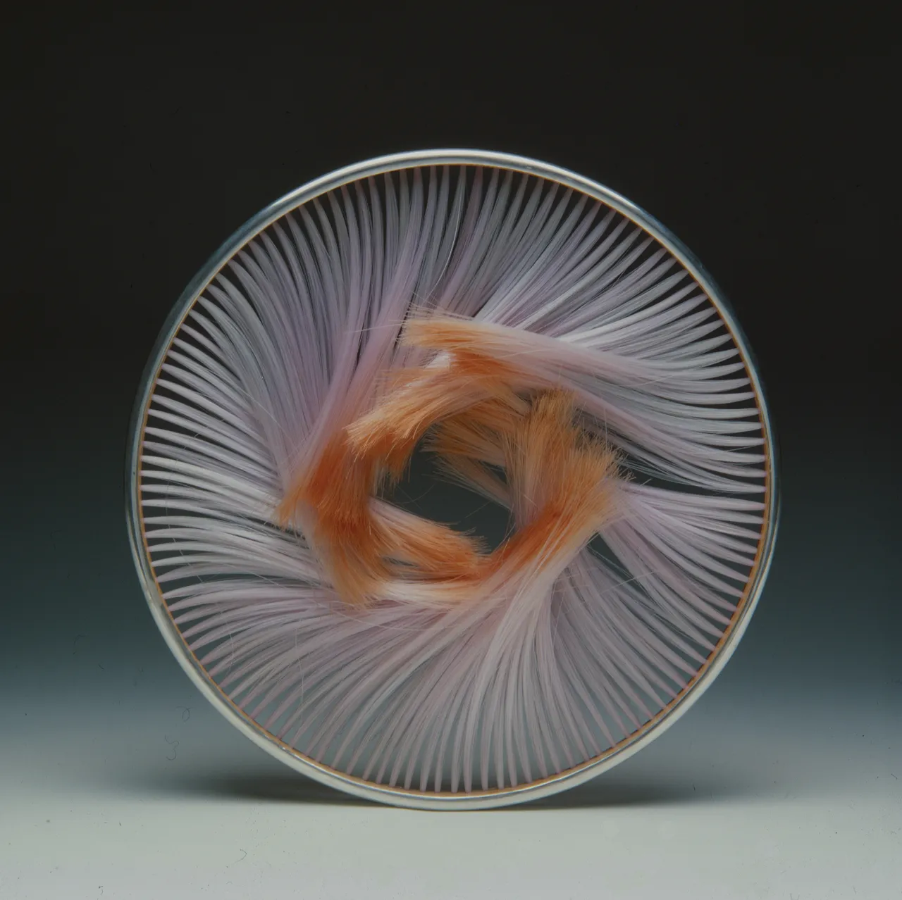 Tufted Necklace, 1979. Image credit: Peter Mackertich