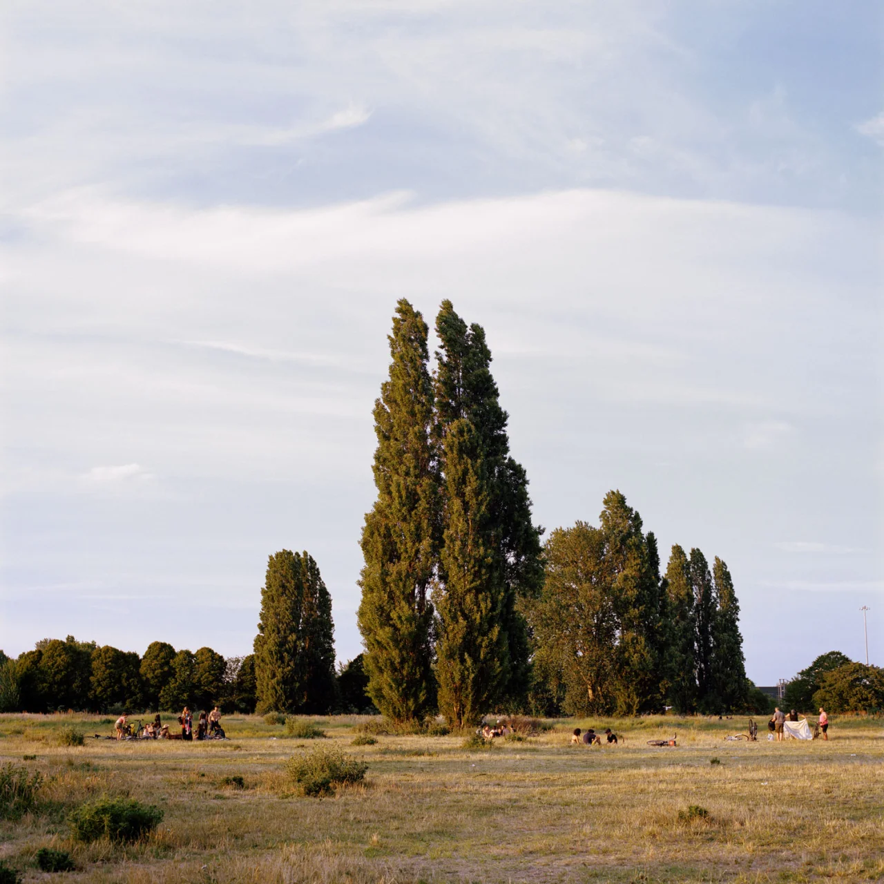 ParkLife by Sophia Spring is published by Hoxton Mini Press