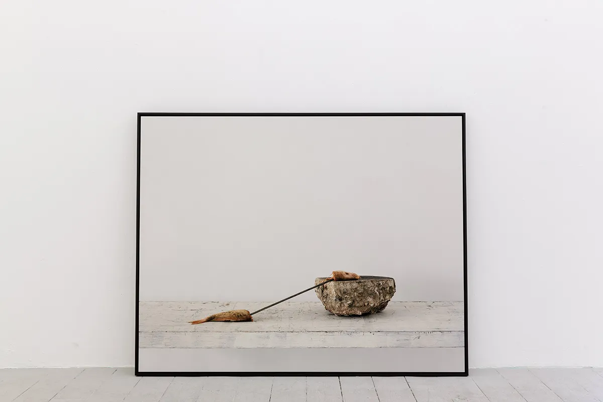 There may be doubts, 2015, from the series A Study of Eight Landscapes, digital archival pigment print from large format film, 110 x 140 cm