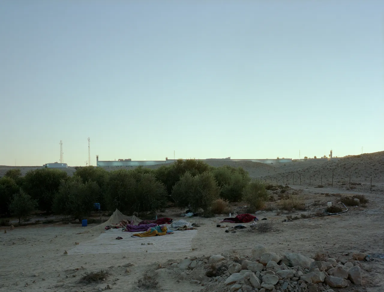 Jeff Wall Daybreak (on an olive farm/Negev Desert/Israel) 2011 © Jeff Wall. Courtesy of White Cube
