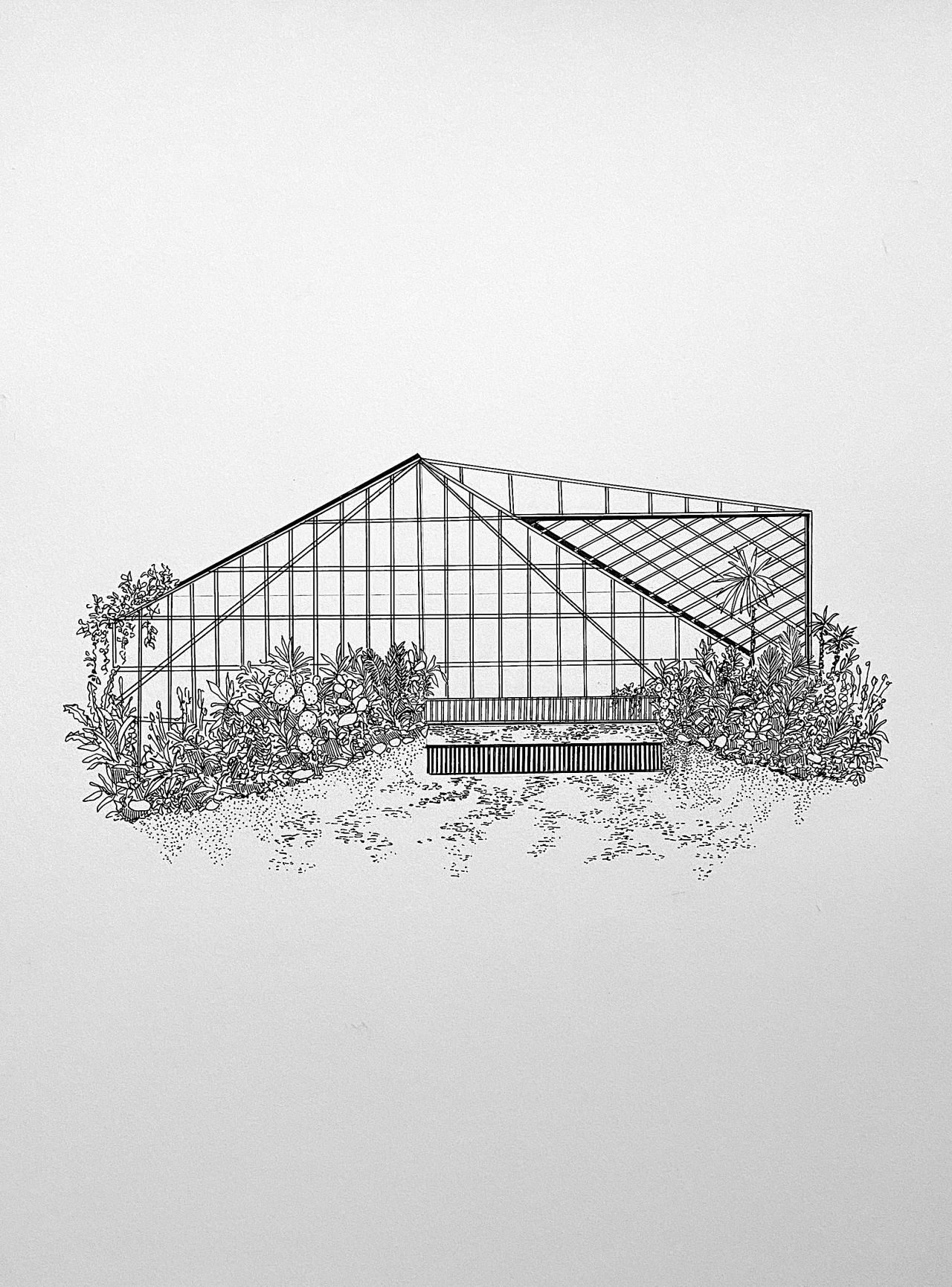 From the series, Wilt, Fall, Root, Grow © Zara Tisma