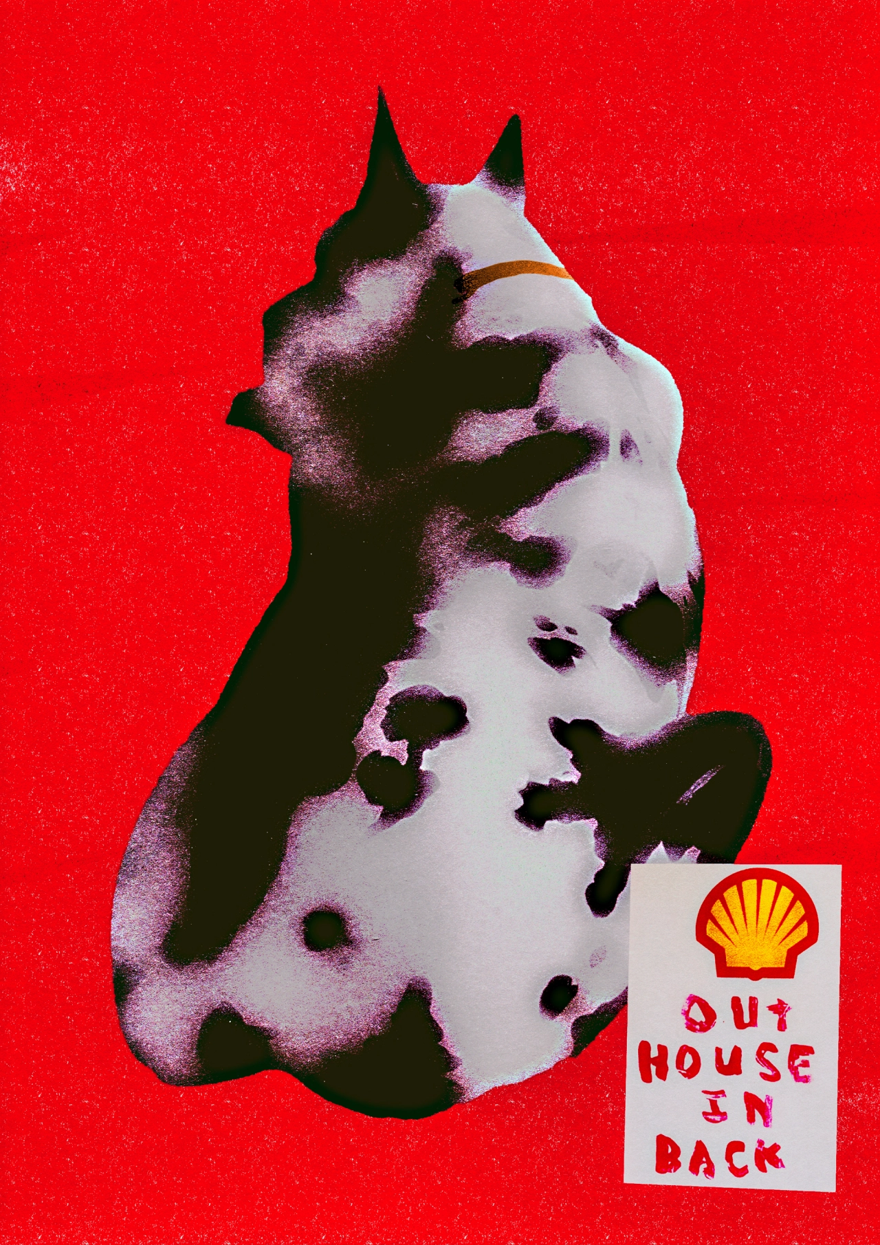White and black dog with pointed ears and an orange collar against a bright red background, with Shell logo and "out house in back" text in bottom right corner