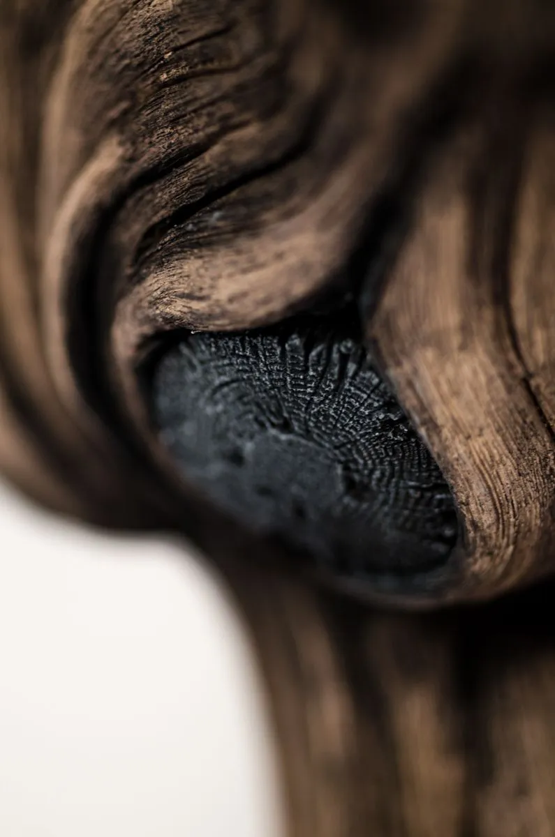 First Contact | Christopher David White