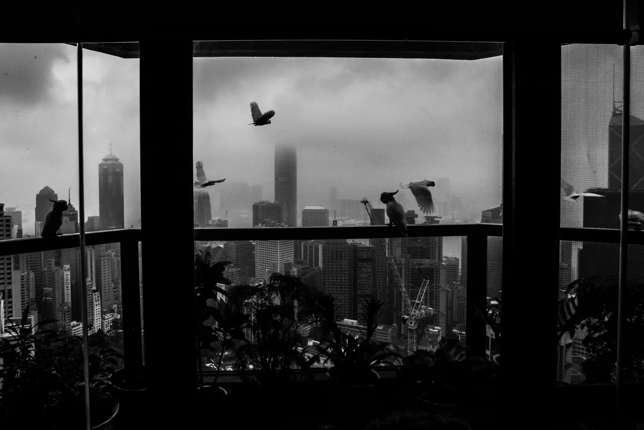 © Xyza Cruz Bacani