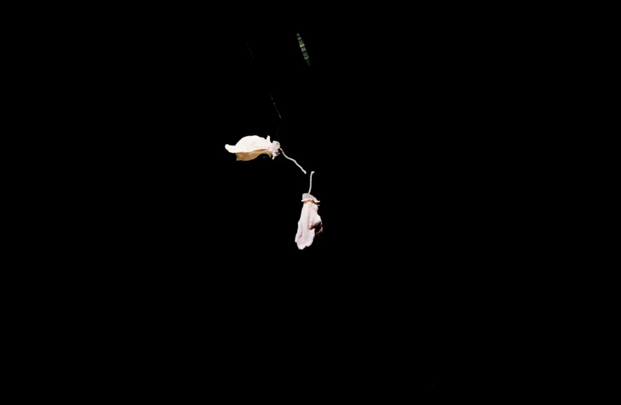 Alexis Vasilikos, Balancing Act, courtesy of CAN Christina Androulidaki Gallery