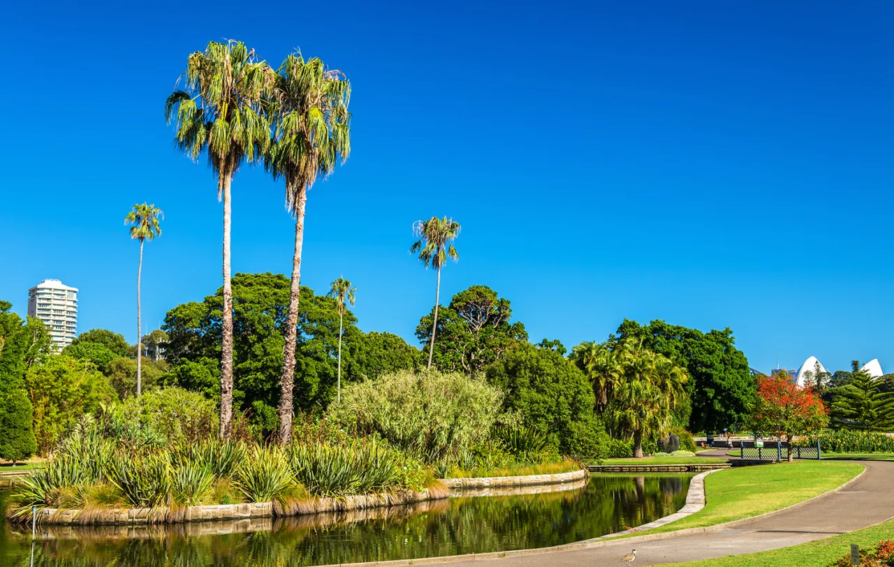 Royal Botanical Garden of Sydney | © Leonid Andronov, Adobe Stock