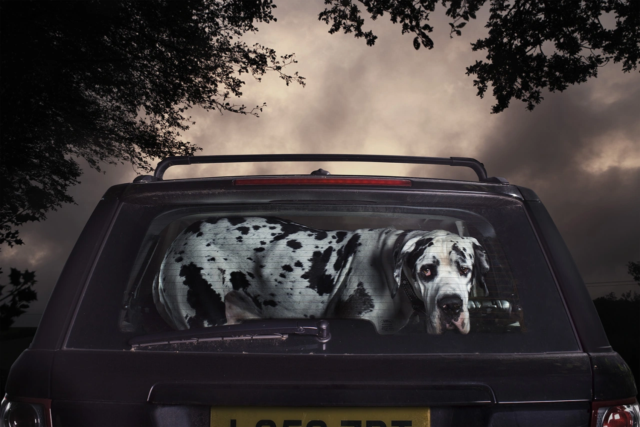 © Martin Usborne