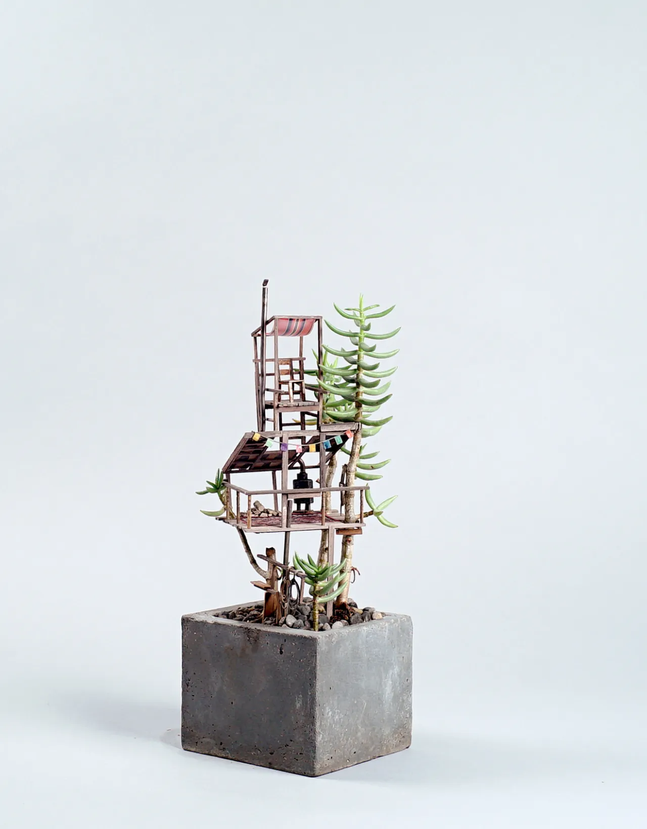 © Jedediah Corwyn Voltz