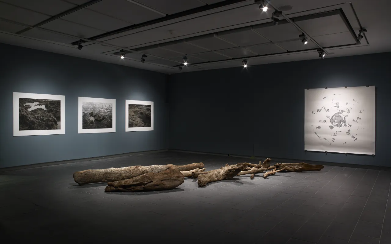 Charwei Tsai - Bulaubulau at CFCCA (2018). Photo by Michael Pollard.