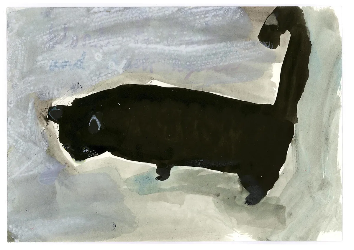 Ceri Amphlett, Mingus the Beautiful, 2011, © Ceri Amphlett - www.ceriamphlett.co.uk