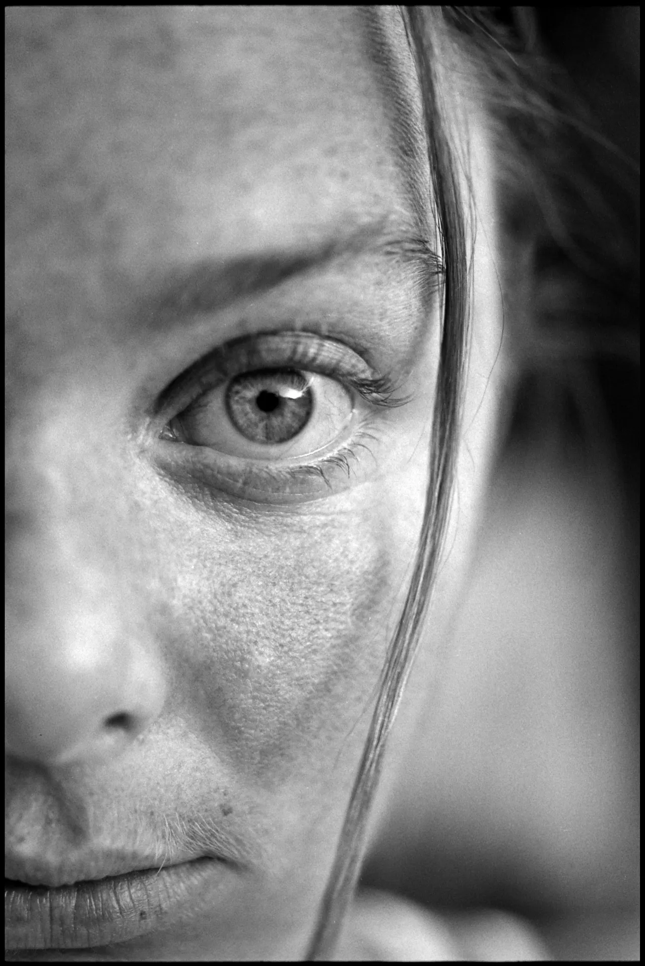 Linda McCartney (1941–1998) Stella. Arizona, 1994 Bromide print © 1994 Paul McCartney / Photographer: Linda McCartney
