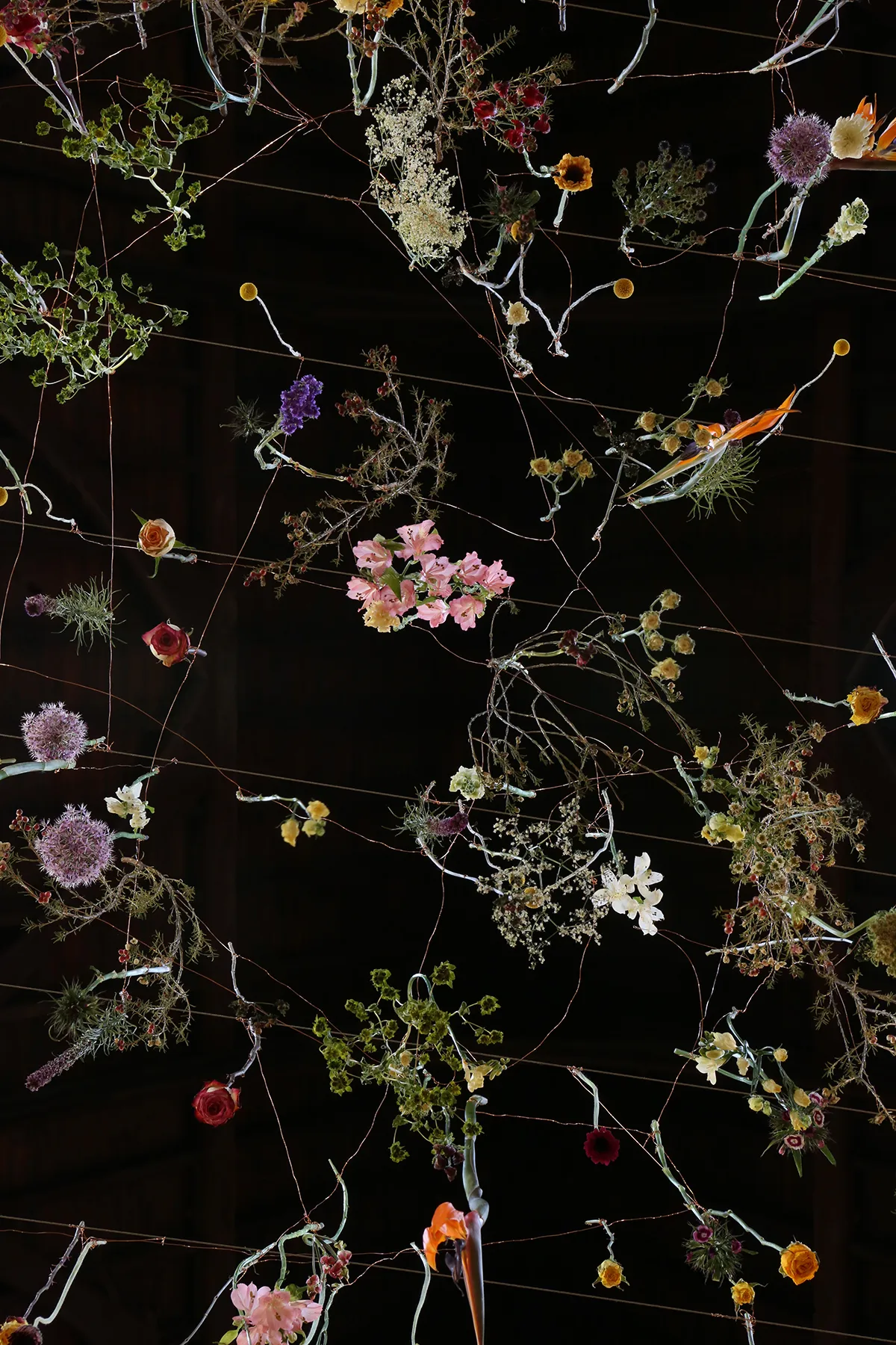 © Rebecca Louise Law