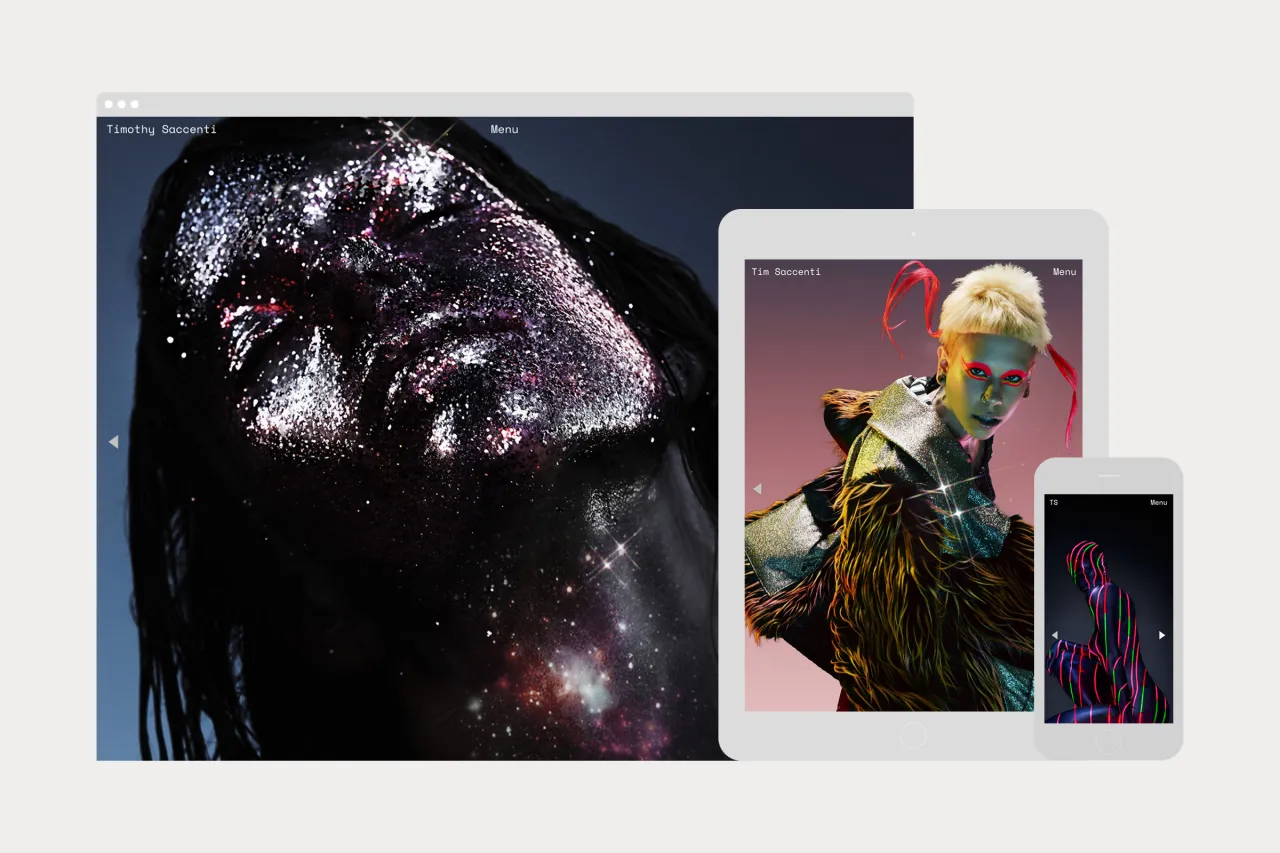 Timothy Saccenti website
