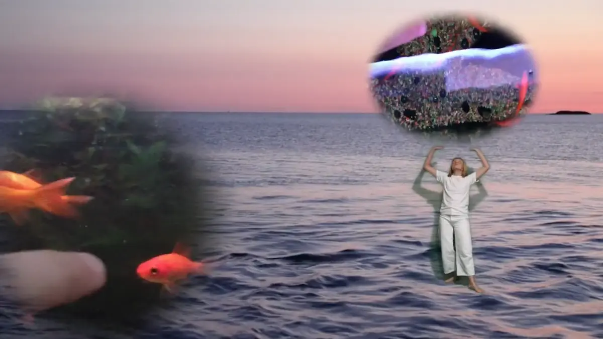 Digital Meditation–video performance still