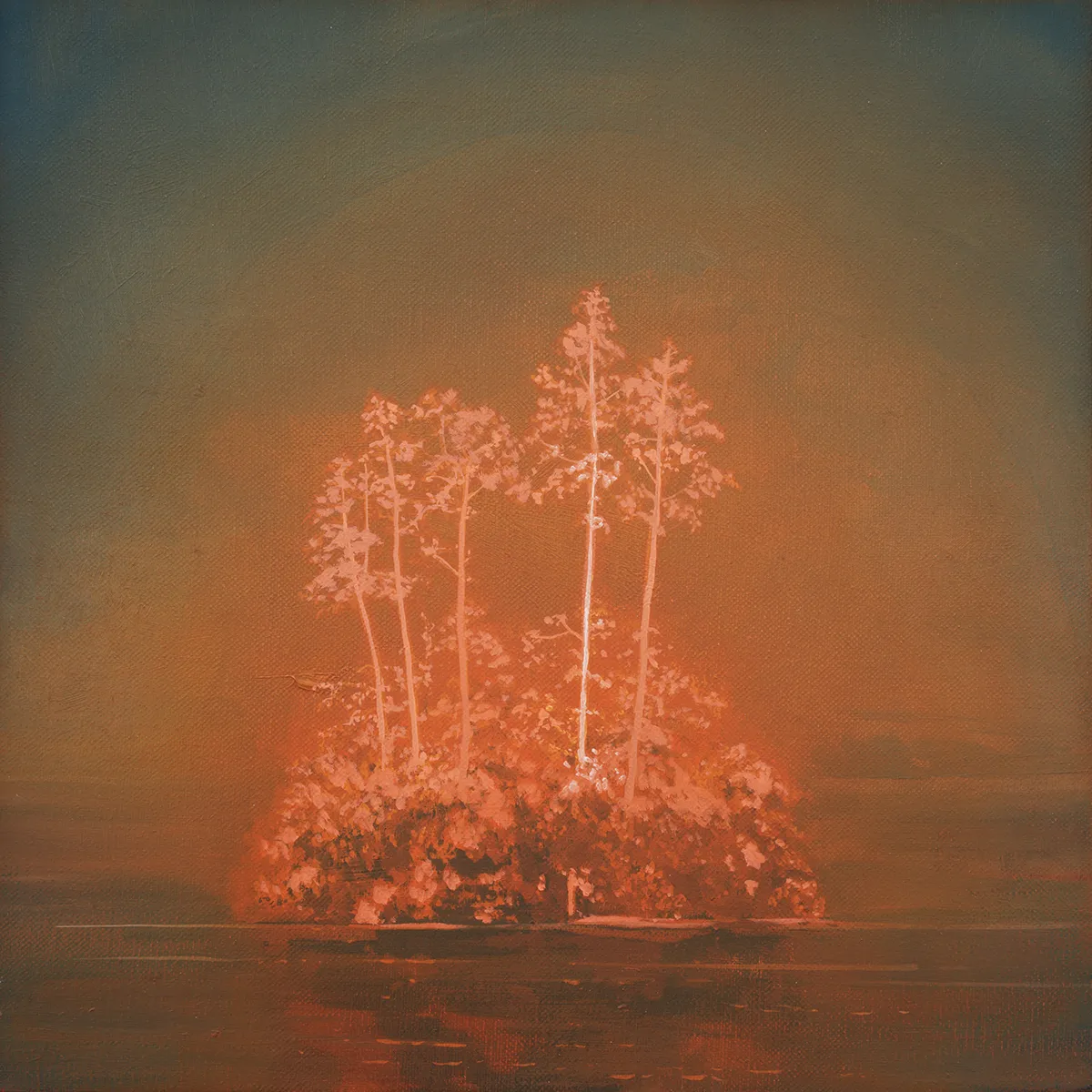 © Andrew McIntosh